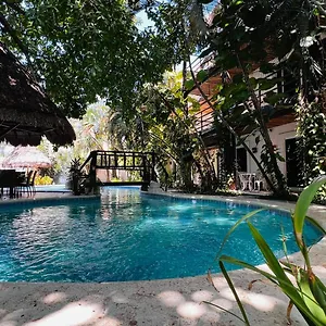 Mayan Art Hotel A Unos Pasos De La 5A Avenida Playa del Carmen